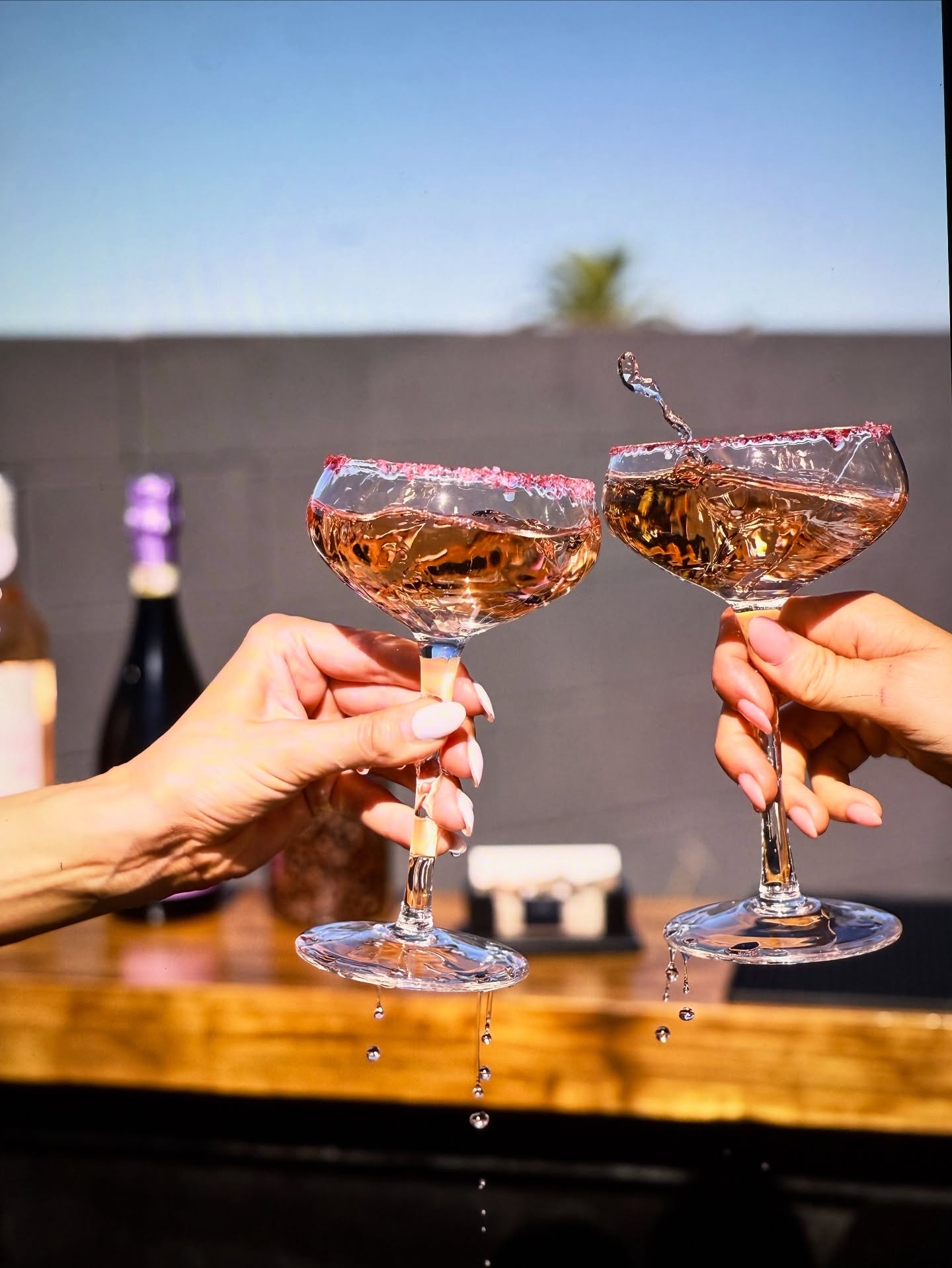 Guests cheering drinks at a Sunset Sips event